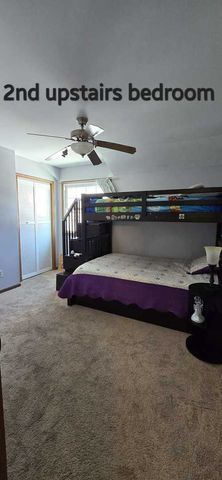 730 Koala Court, Wilmington, IL 60481