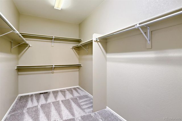 51 Stewart Way, Erie, CO 80516