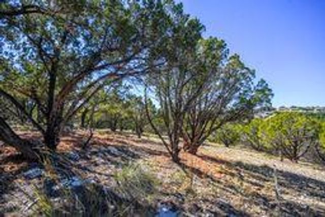 20008 Charlestown CV, Lago Vista, TX 78645