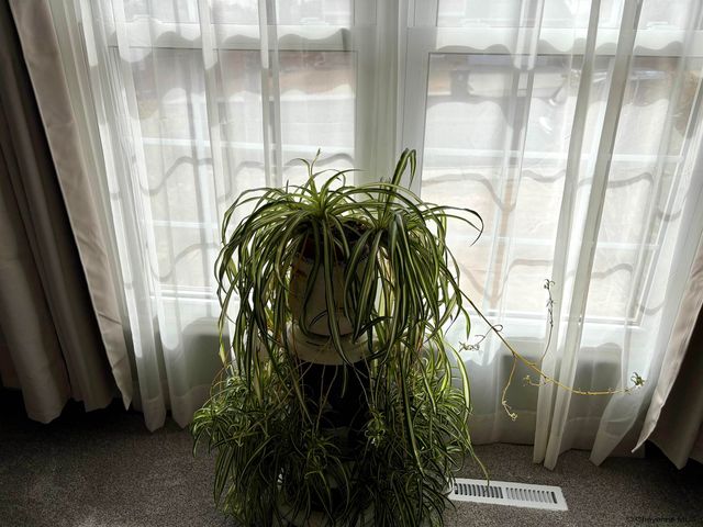 5204 LIBERTY ST, Cheyenne, WY 82001