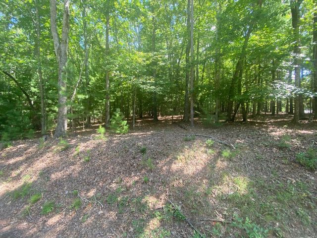 6.93 AC Timber Ridge Road, Blairsville, GA 30512