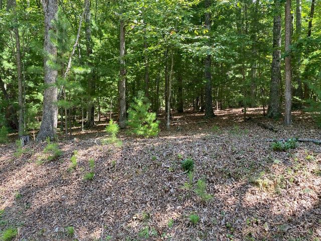6.93 AC Timber Ridge Road, Blairsville, GA 30512
