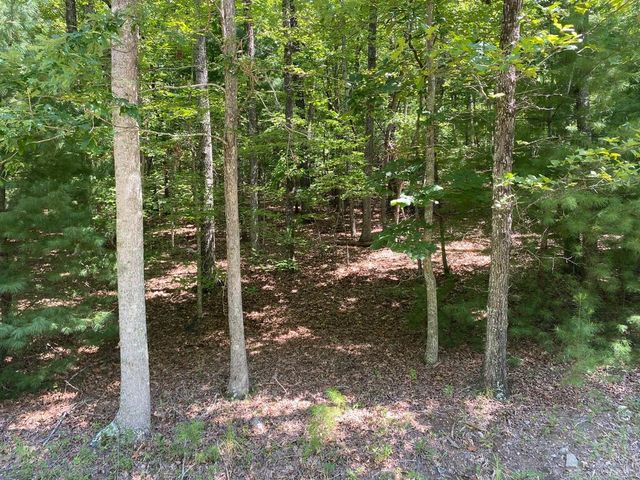 6.93 AC Timber Ridge Road, Blairsville, GA 30512