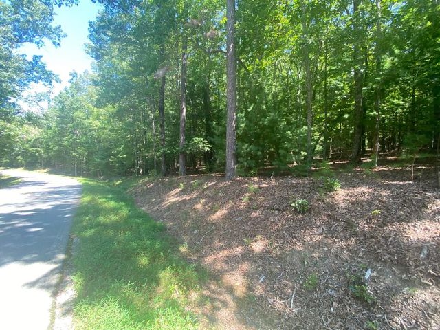 6.93 AC Timber Ridge Road, Blairsville, GA 30512
