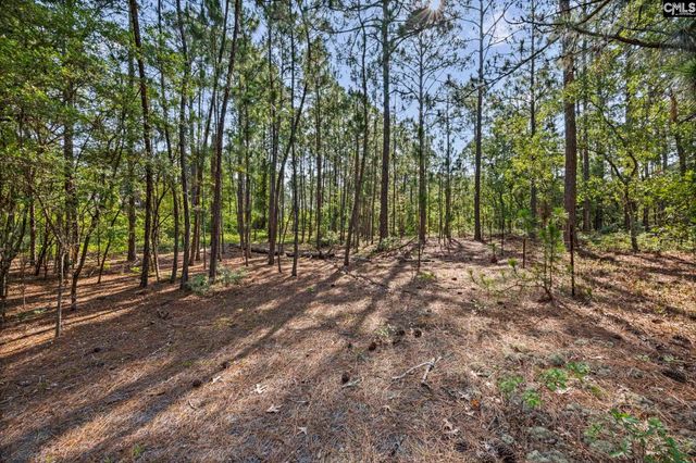 257 Rimrock Road, Gilbert, SC 29054