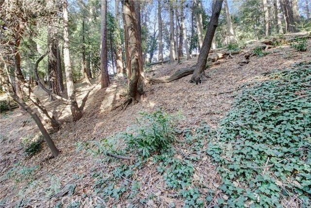 2662 Scenic, Crestline, CA 92325