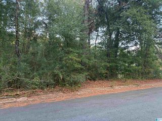 0 SEDGEFIELD DRIVE, Sylacauga, AL 35150