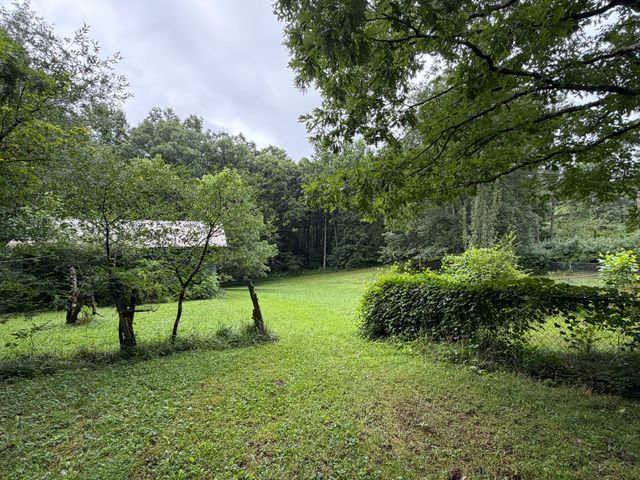 704 Canyon Dr, Altamont, TN 37301