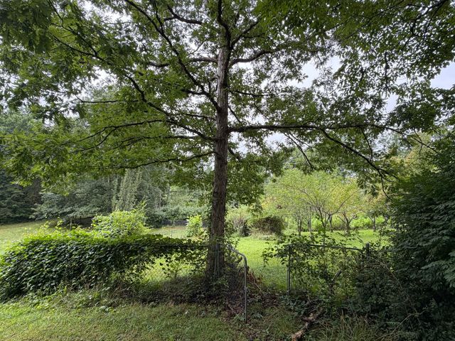 704 Canyon Dr, Altamont, TN 37301