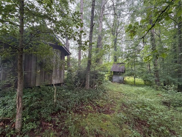 704 Canyon Dr, Altamont, TN 37301
