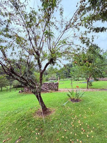 704 Canyon Dr, Altamont, TN 37301