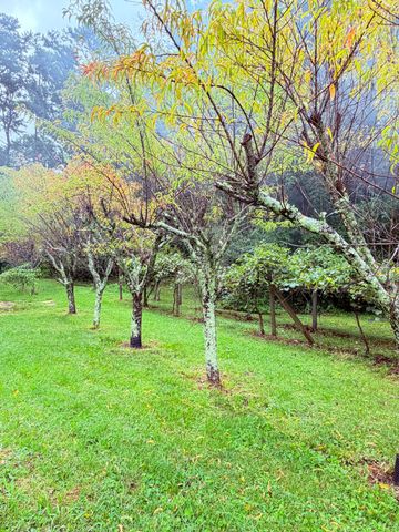 704 Canyon Dr, Altamont, TN 37301