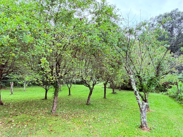 704 Canyon Dr, Altamont, TN 37301