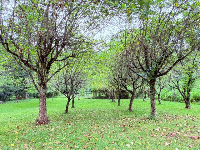 704 Canyon Dr, Altamont, TN 37301
