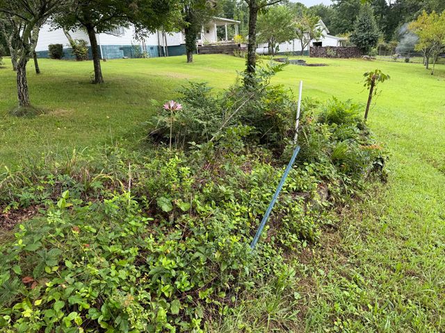 704 Canyon Dr, Altamont, TN 37301