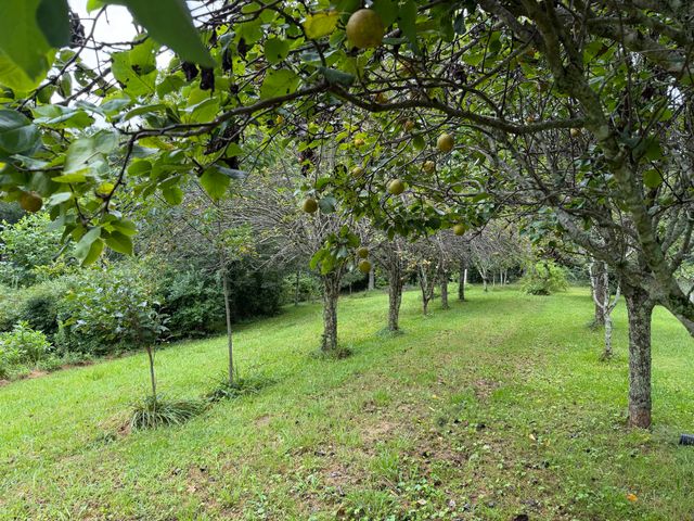 704 Canyon Dr, Altamont, TN 37301