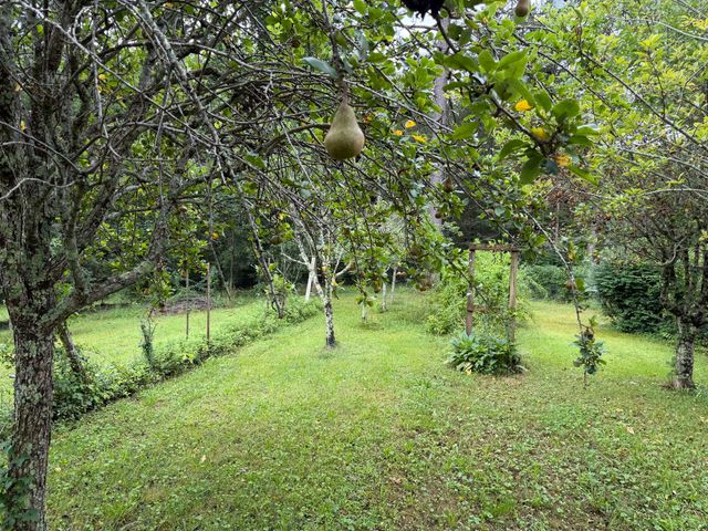 704 Canyon Dr, Altamont, TN 37301