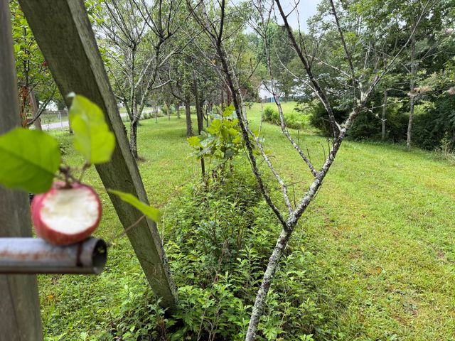 704 Canyon Dr, Altamont, TN 37301