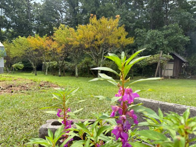 704 Canyon Dr, Altamont, TN 37301