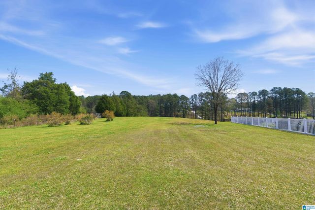 64 MISTLETOE LANE, Vincent, AL 35178