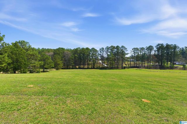 64 MISTLETOE LANE, Vincent, AL 35178