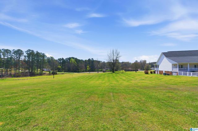 64 MISTLETOE LANE, Vincent, AL 35178
