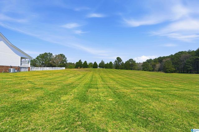 64 MISTLETOE LANE, Vincent, AL 35178