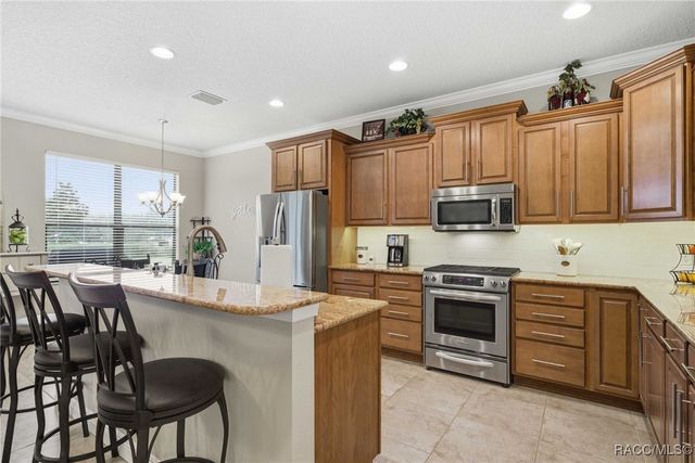 1578 W Sola Vista Path, Lecanto, FL 34461