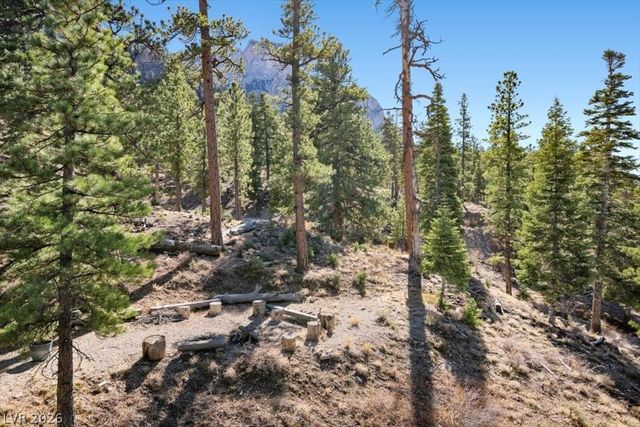 5265 Whispering Deer Drive, Mount Charleston, NV 89124