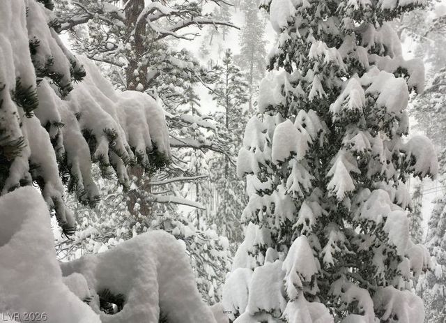 5265 Whispering Deer Drive, Mount Charleston, NV 89124