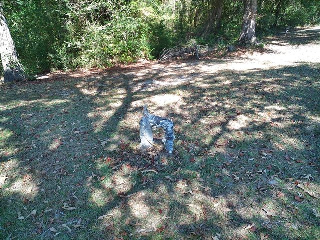 12543 Harrelson Loop, Andalusia, AL 36420