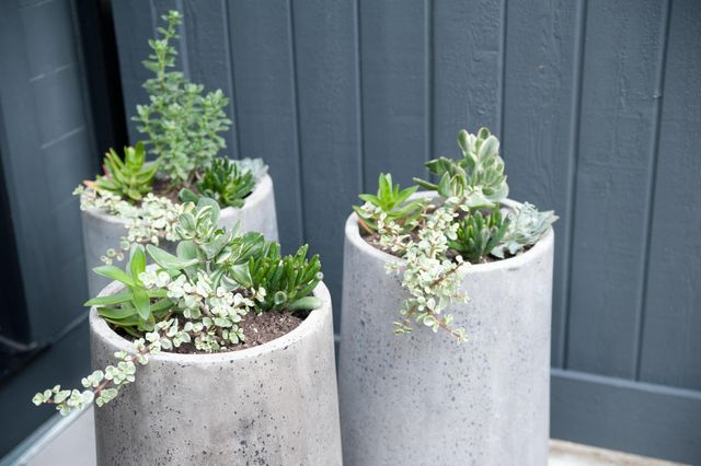 186 E Sycamore Street, Columbus, OH 43206