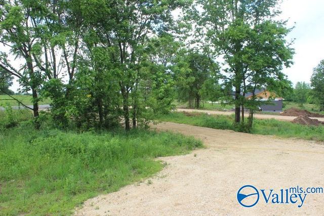 1907 County Road 180, Rainsville, AL 35986