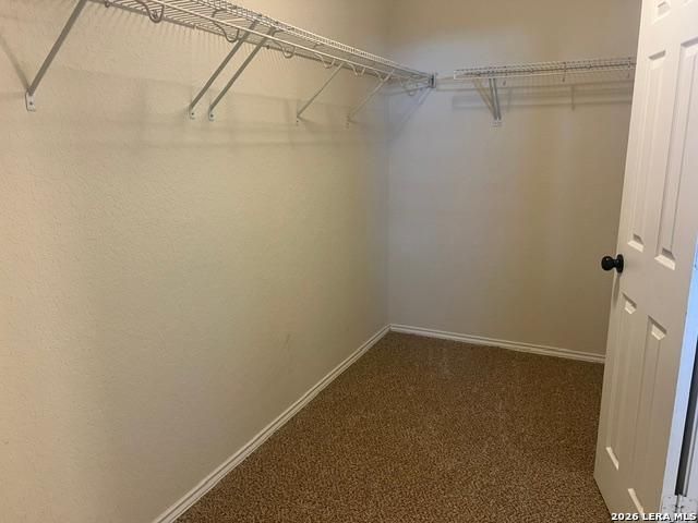 3818 Hickory Arch, San Antonio, TX 78261