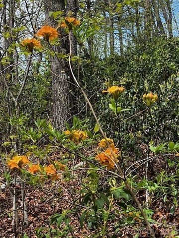 35 Grey Rock Valley, Black Mountain, NC 28711