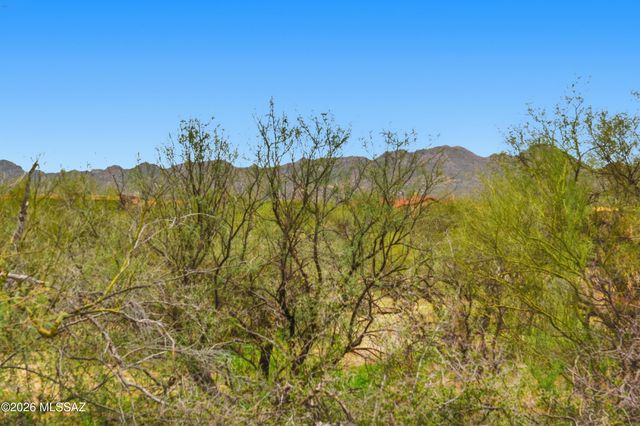 13675 N Napoli Way, Oro Valley, AZ 85755