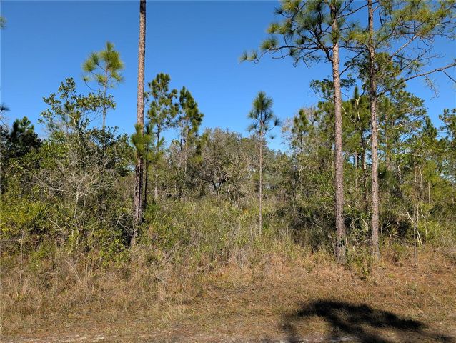 206 IXORA DRIVE, Indian Lake Estates, FL 33855