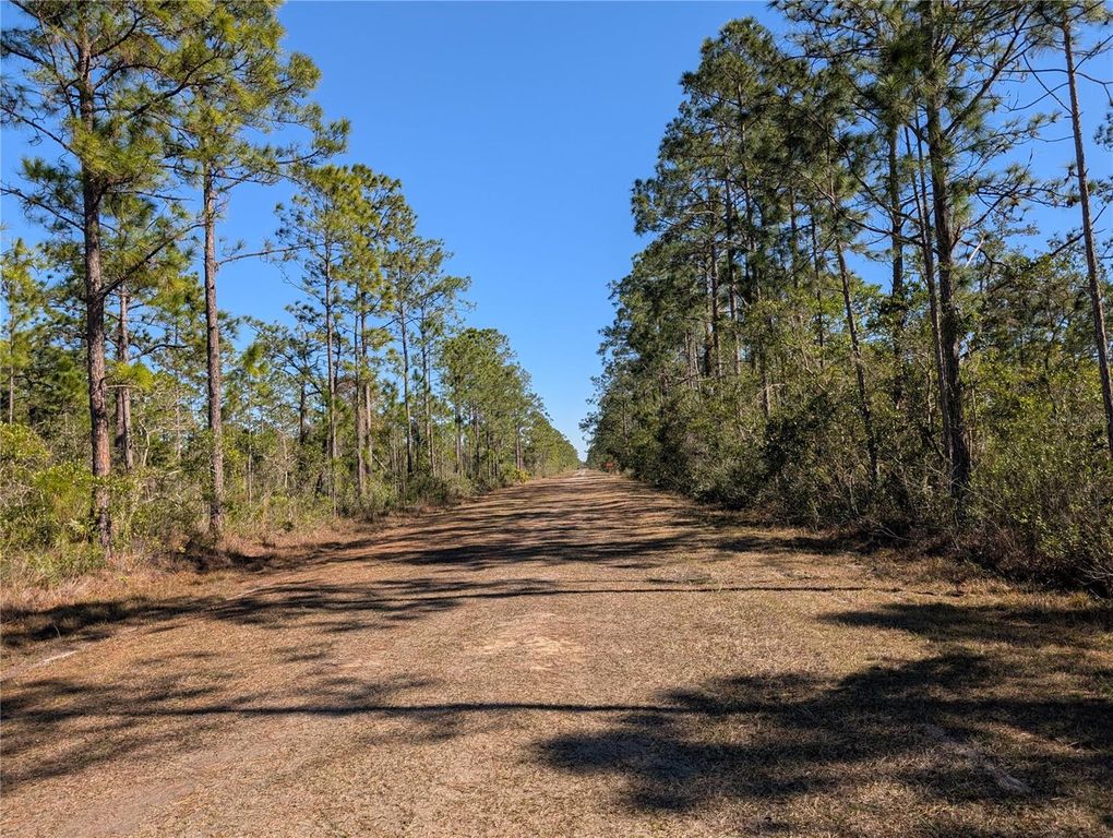 Image 2 of property listing at 206 IXORA DRIVE, Indian Lake Estates, FL 33855