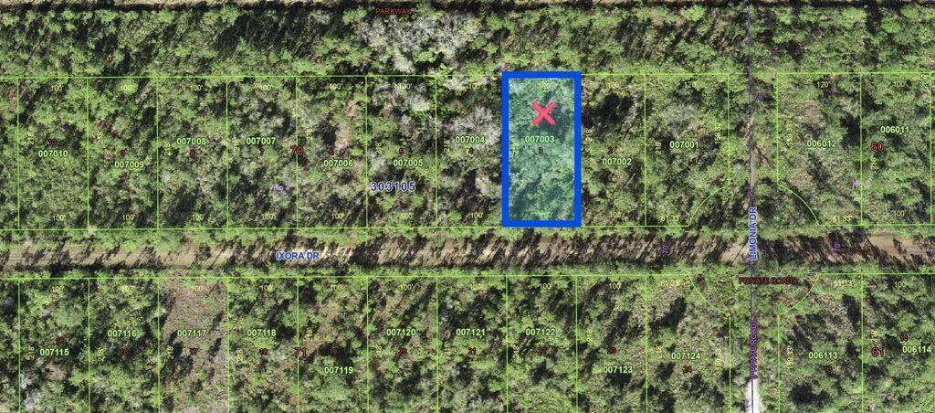 Image 4 of property listing at 206 IXORA DRIVE, Indian Lake Estates, FL 33855