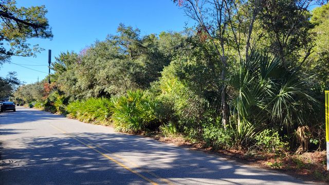 0 Walton Rose Lane, Inlet Beach, FL 32461