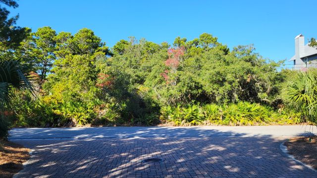 0 Walton Rose Lane, Inlet Beach, FL 32461