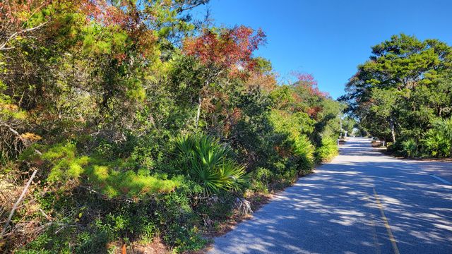 0 Walton Rose Lane, Inlet Beach, FL 32461