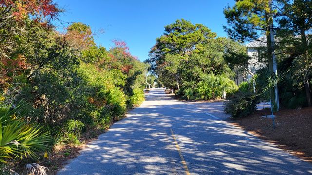 0 Walton Rose Lane, Inlet Beach, FL 32461