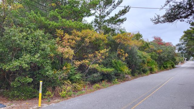 0 Walton Rose Lane, Inlet Beach, FL 32461