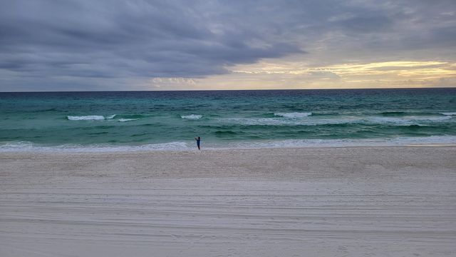 0 Walton Rose Lane, Inlet Beach, FL 32461