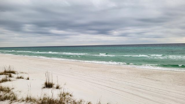 0 Walton Rose Lane, Inlet Beach, FL 32461