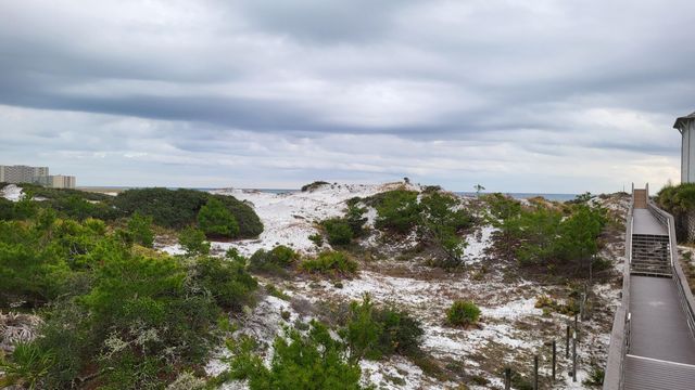 0 Walton Rose Lane, Inlet Beach, FL 32461