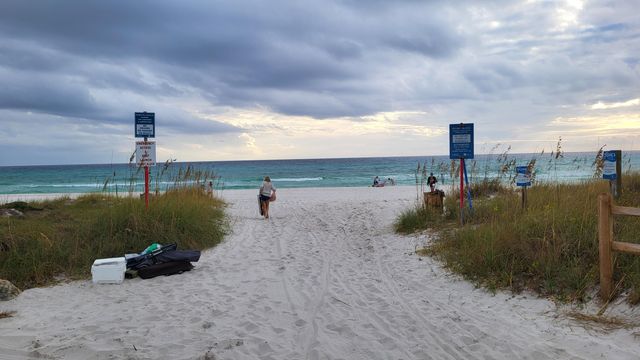 0 Walton Rose Lane, Inlet Beach, FL 32461