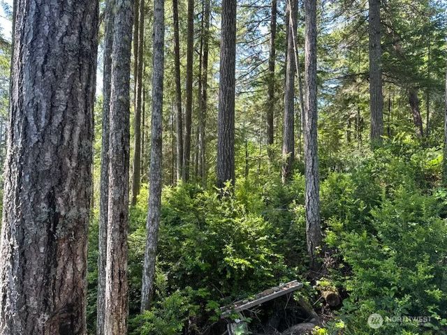 70 N Colony Surf Drive, Lilliwaup, WA 98555