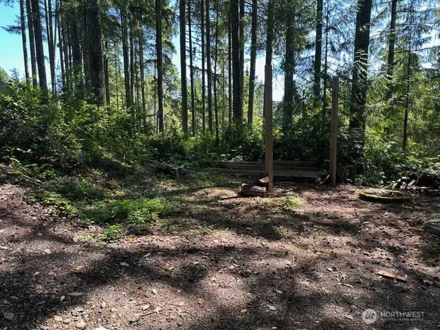 70 N Colony Surf Drive, Lilliwaup, WA 98555